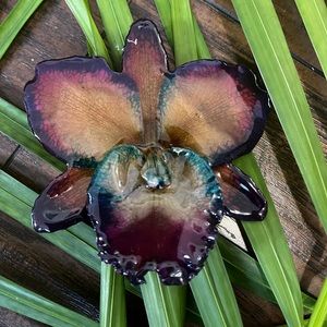 Real orchid hair clip/necklace❣️